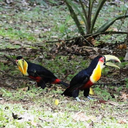 Yasí Yateré Reserva Agroecológica El Soberbio Esterno foto