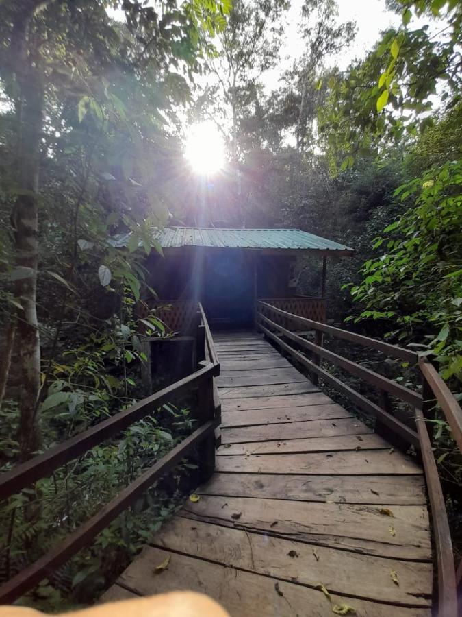 Yasí Yateré Reserva Agroecológica El Soberbio Esterno foto
