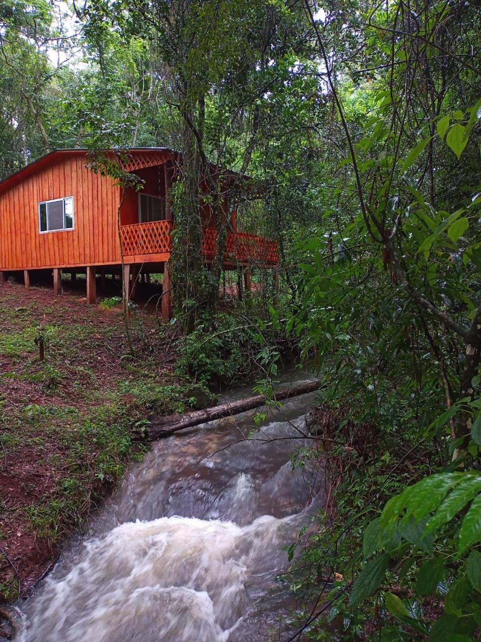 Yasí Yateré Reserva Agroecológica El Soberbio Esterno foto