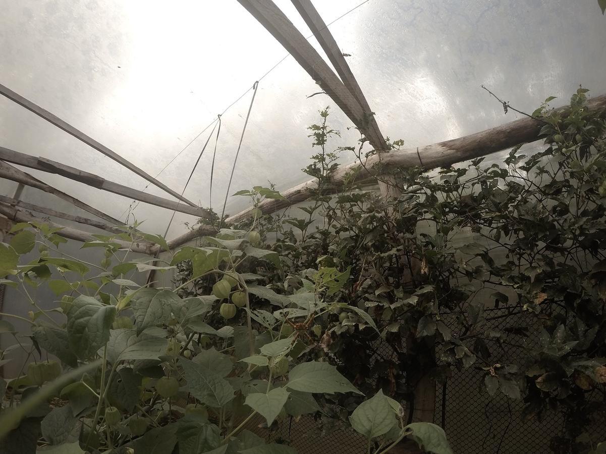 Yasí Yateré Reserva Agroecológica El Soberbio Esterno foto