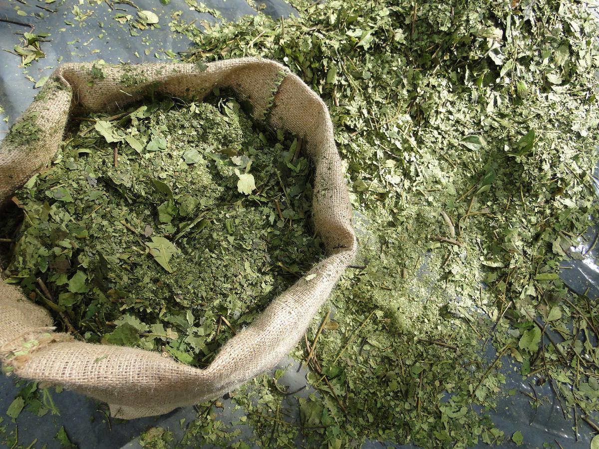 Yasí Yateré Reserva Agroecológica El Soberbio Esterno foto