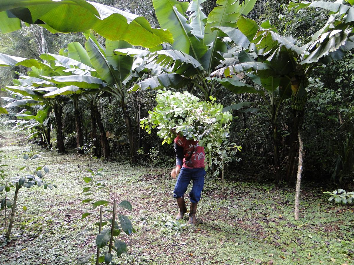Yasí Yateré Reserva Agroecológica El Soberbio Esterno foto